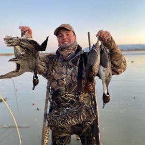 Meet your Posher, Nick